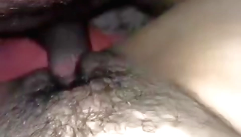 Hairy sex video for amateur indian girl showing her hairy ass