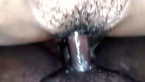 Hairy beauties getting their pussies and mouth licked