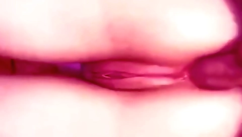 Amateur anal blowjob with step sister to her boyfriend