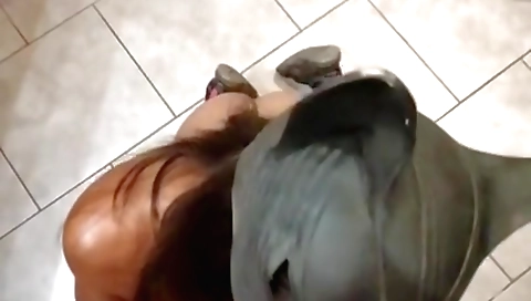 Indian girl with a hot deepthroat makes love to a stranger